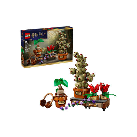 LEGO Harry Potter, Fortnite, and Minecraft sets for 2026 detailed in new leak: 76474